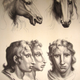 Illustration for article titled Baroque-Era Drawings Reveal Early Ideas About Evolution